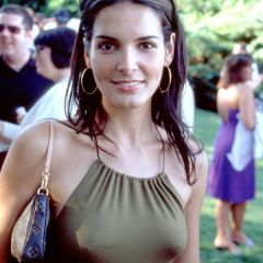 Angie Harmon nude