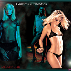 Cameron Richardson nude