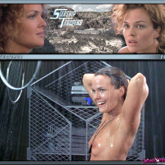 Dina Meyer nude