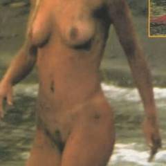 Michelle Hunziker nude