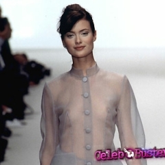 Shalom Harlow nude