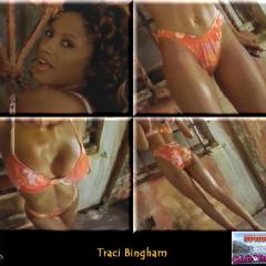 Traci Bingham nude
