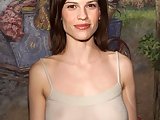 Hilary Swank Sexy Seethru Dress