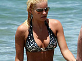 Elisha Cuthbert shows great body in a sexy bikini candids shoots