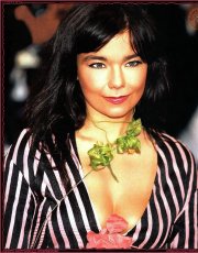 Bjork nude picture