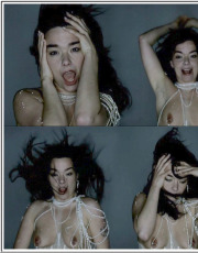 Bjork nude picture