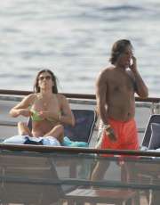 Elizabeth Hurley nude picture