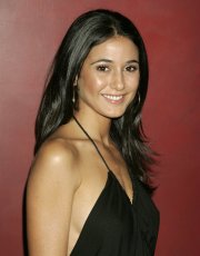 Emmanuelle Chriqui nude picture