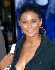 Emmanuelle Chriqui nude picture