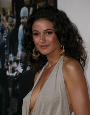 Emmanuelle Chriqui nude picture