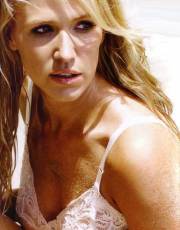 Poppy Montgomery nude picture