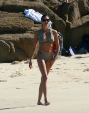 Teri Hatcher nude picture