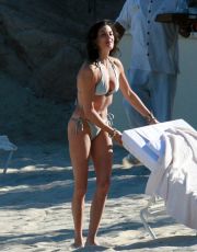 Teri Hatcher nude picture