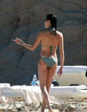 Teri Hatcher nude picture