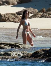 Teri Hatcher nude picture