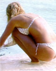 Alessia Marcuzzi nude picture