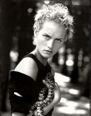 Amber Valletta nude picture