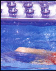 Carmen Russo nude picture