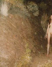 Lily Cole nude picture