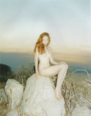 Lily Cole nude picture