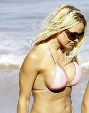 Pamela Anderson nude picture