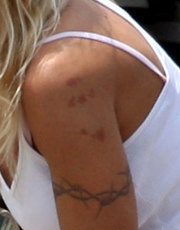 Pamela Anderson nude picture